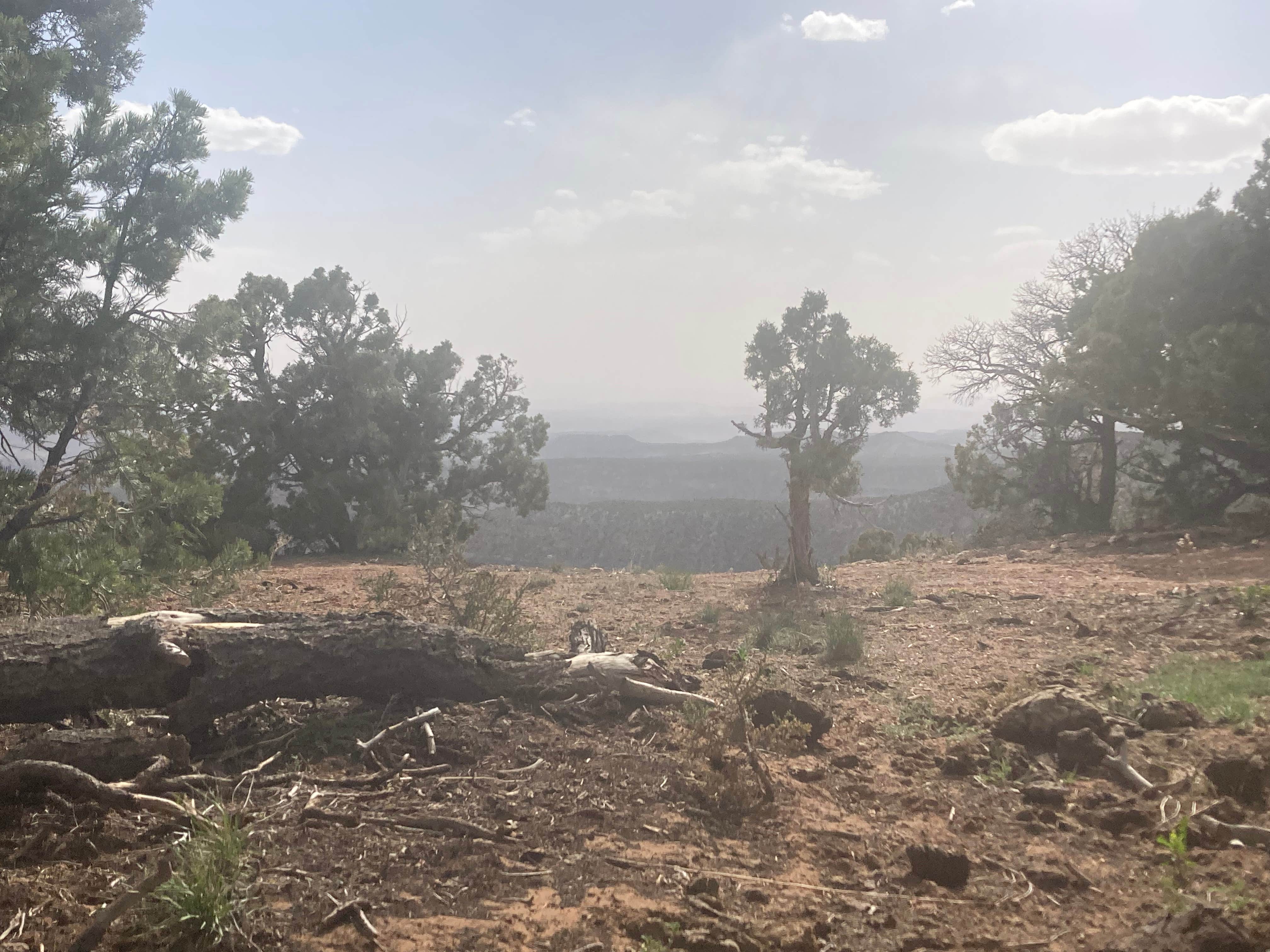 Camper-submitted photo at Canyons of the Ancients, Sand Canyon (Road 4725) near Cortez, CO