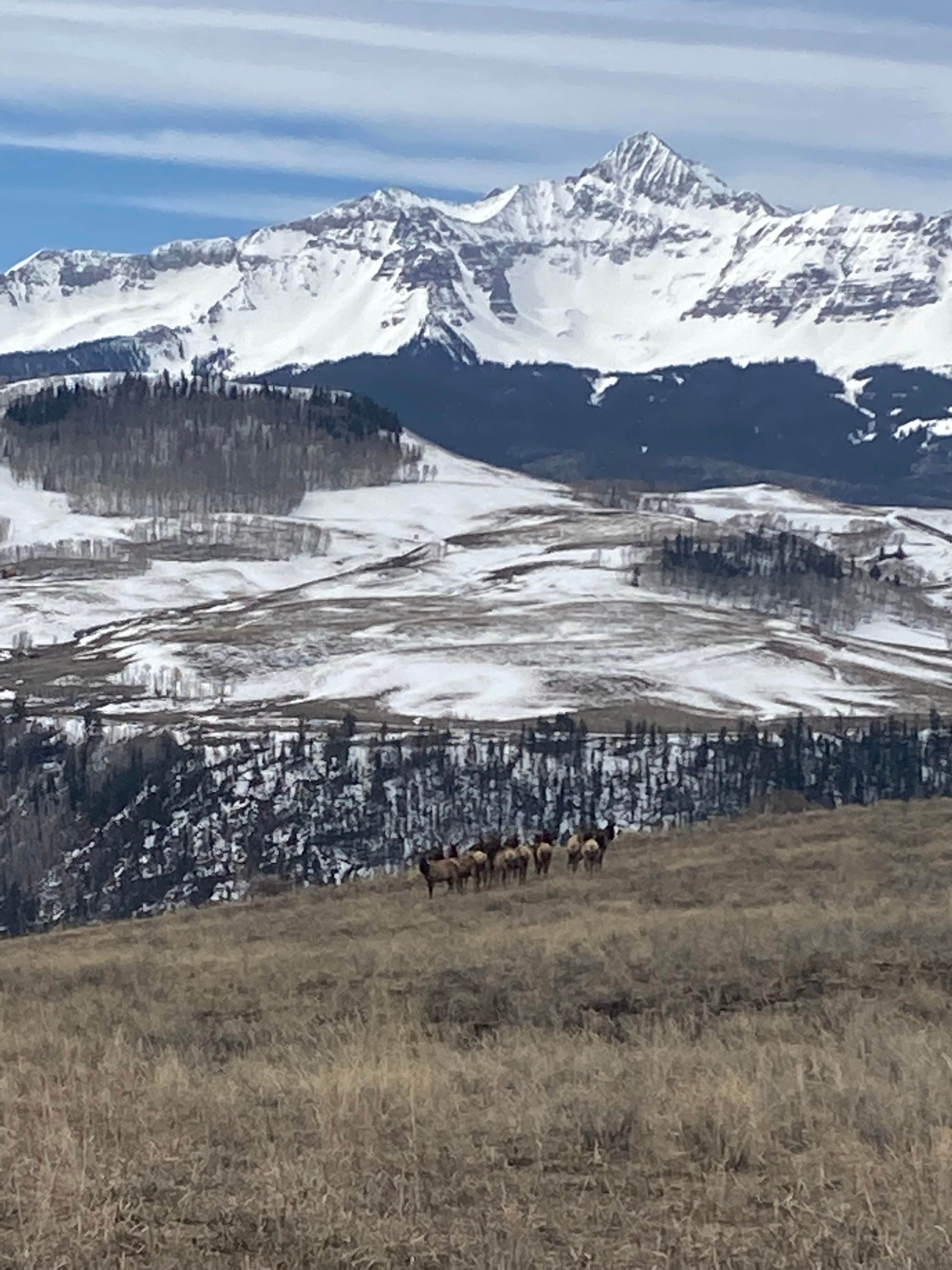 Camper submitted image from Last Dollar Road - 5