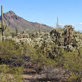Review photo of Usery Mountain Regional Park by Mary , April 22, 2022