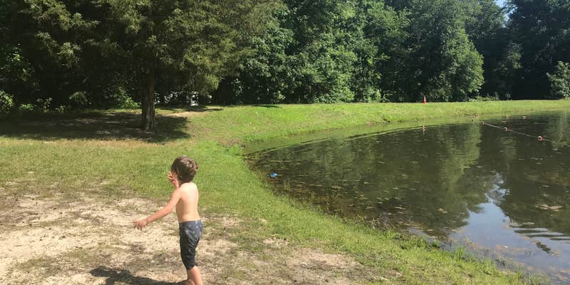 Camper submitted image from Four Seasons Family Campground