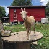 Review photo of Arrowhead Bike Farm by Aspen H., April 22, 2022