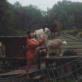 Review photo of Arrowhead Bike Farm by Aspen H., April 22, 2022