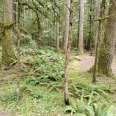 Review photo of Dungeness Forks Campground by Shrinking in Seattle D., April 23, 2022