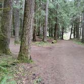 Review photo of Dungeness Forks Campground by Shrinking in Seattle D., April 23, 2022