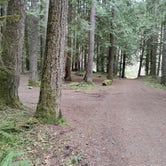 Review photo of Dungeness Forks Campground by Shrinking in Seattle D., April 23, 2022