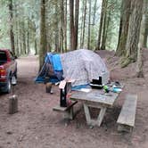 Review photo of Dungeness Forks Campground by Shrinking in Seattle D., April 23, 2022