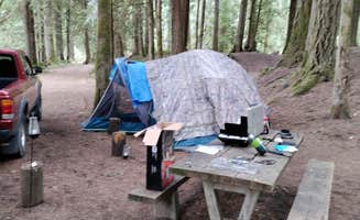 Shrinking in Seattle D.'s photo of tent camping at Dungeness Forks Campground near Edmonds, WA