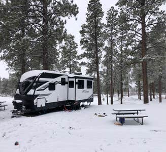 Camper-submitted photo from Priest Gulch Campground and RV Park Cabins and Lodge
