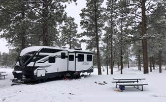 JL's photo at Echo Basin Cabin and RV Resort in Colorado