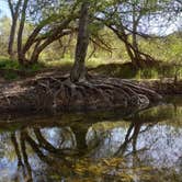 Review photo of Cache Creek Regional Park Campground by Olivia W., April 23, 2022