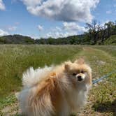 Review photo of Cache Creek Regional Park Campground by Olivia W., April 23, 2022