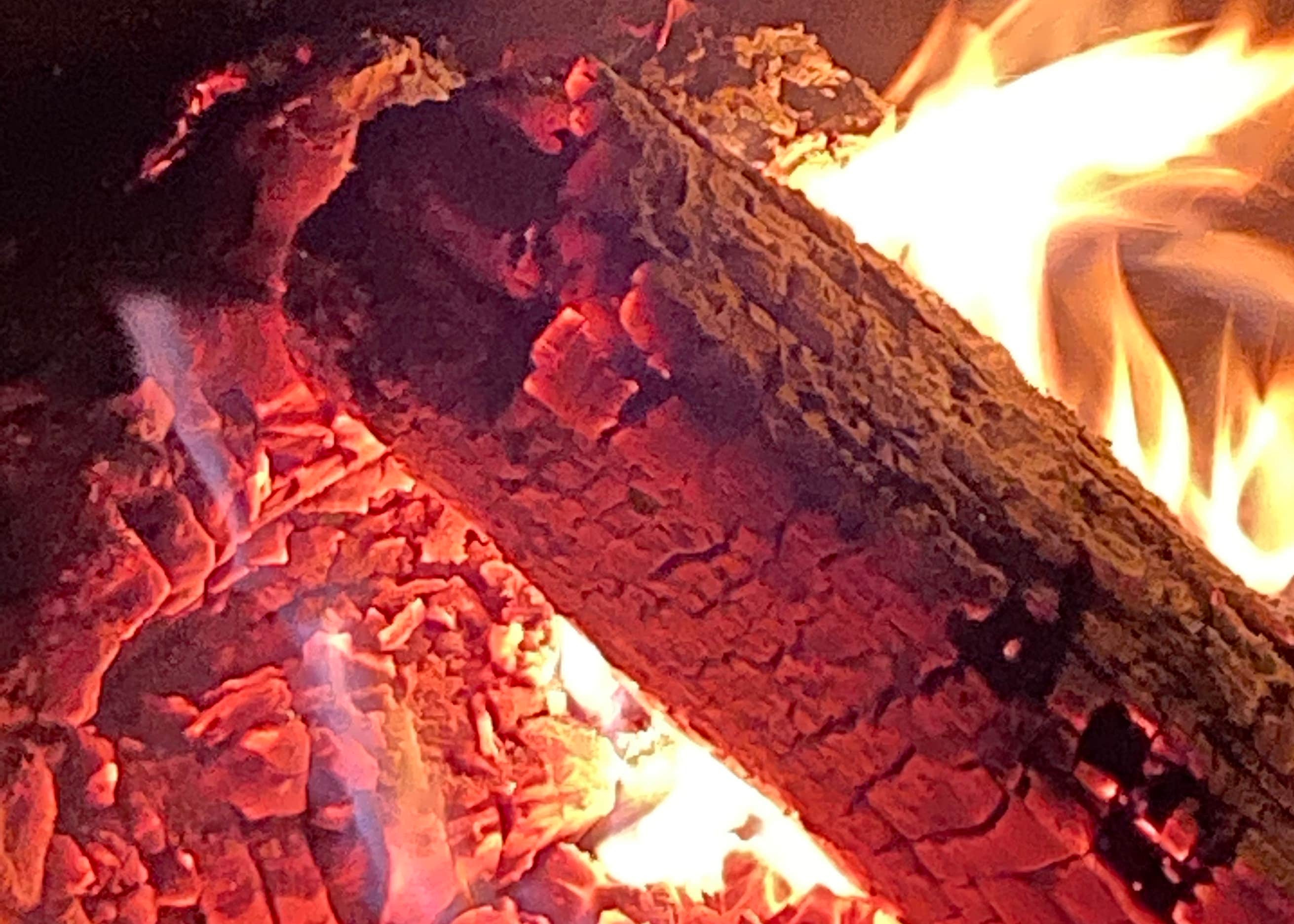 Mount Hood National Forest Tollgate Campground Camping The Dyrt