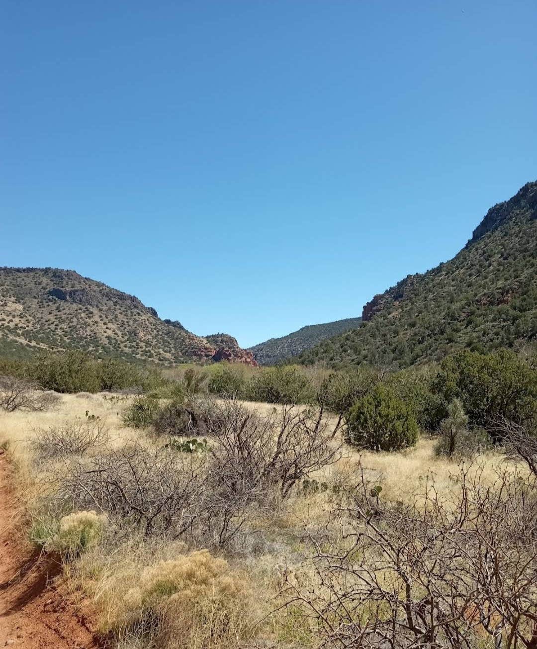 Camping near Forest Road 618 Loop: FR121 Dispersed Camping, Rimrock, Arizona