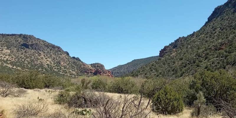 Camper submitted image from FR121 Dispersed Camping