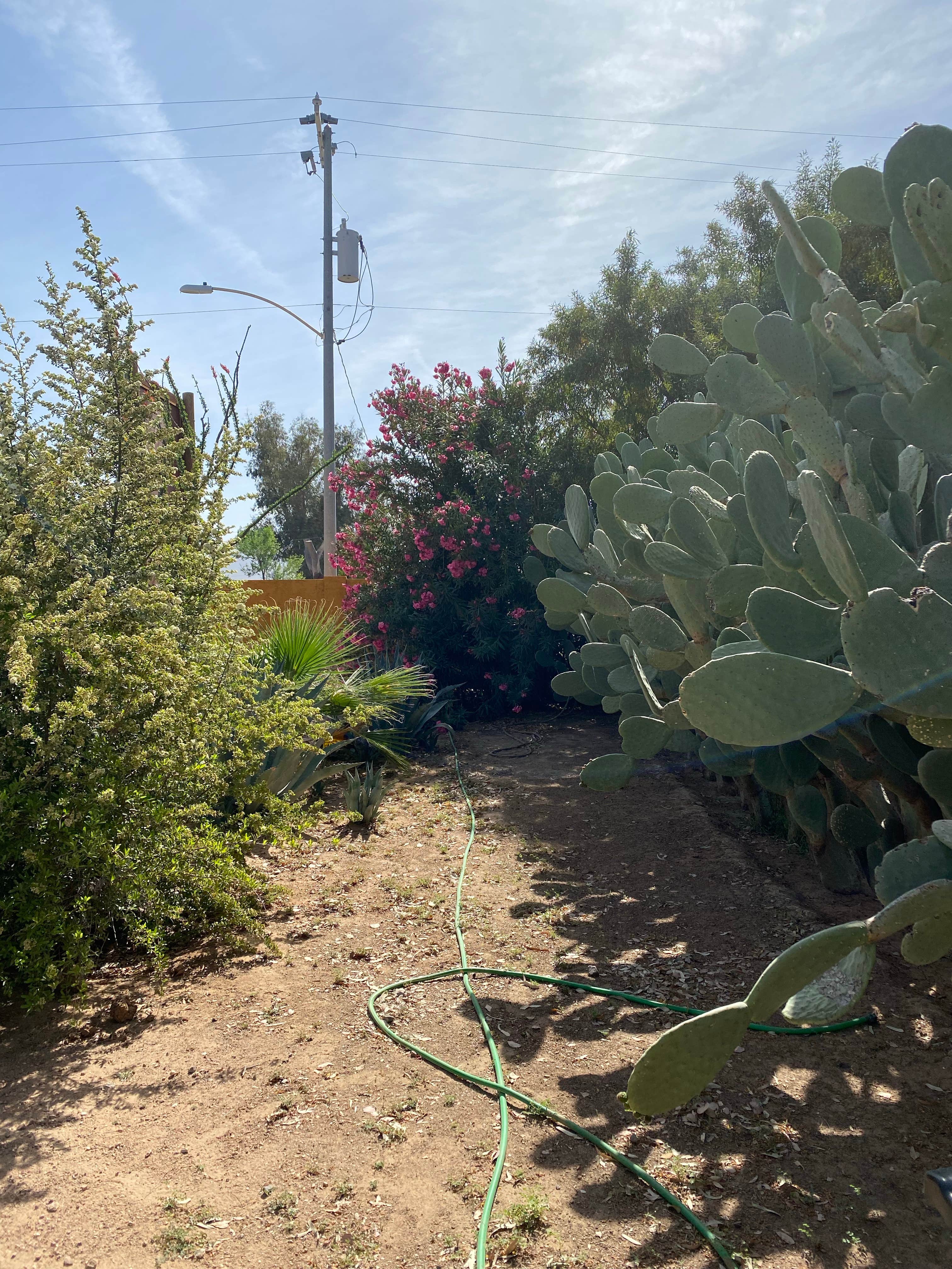 Camping near Quail Run RV Park: Picacho-Tucson NW KOA, Picacho, Arizona