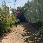 Review photo of Picacho-Tucson NW KOA by lois , April 23, 2022