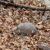 Review photo of Osage Hills State Park Campground by Brandon C., April 23, 2022