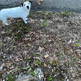 Review photo of Hickory Flats — Tenkiller State Park by Mason M., April 23, 2022