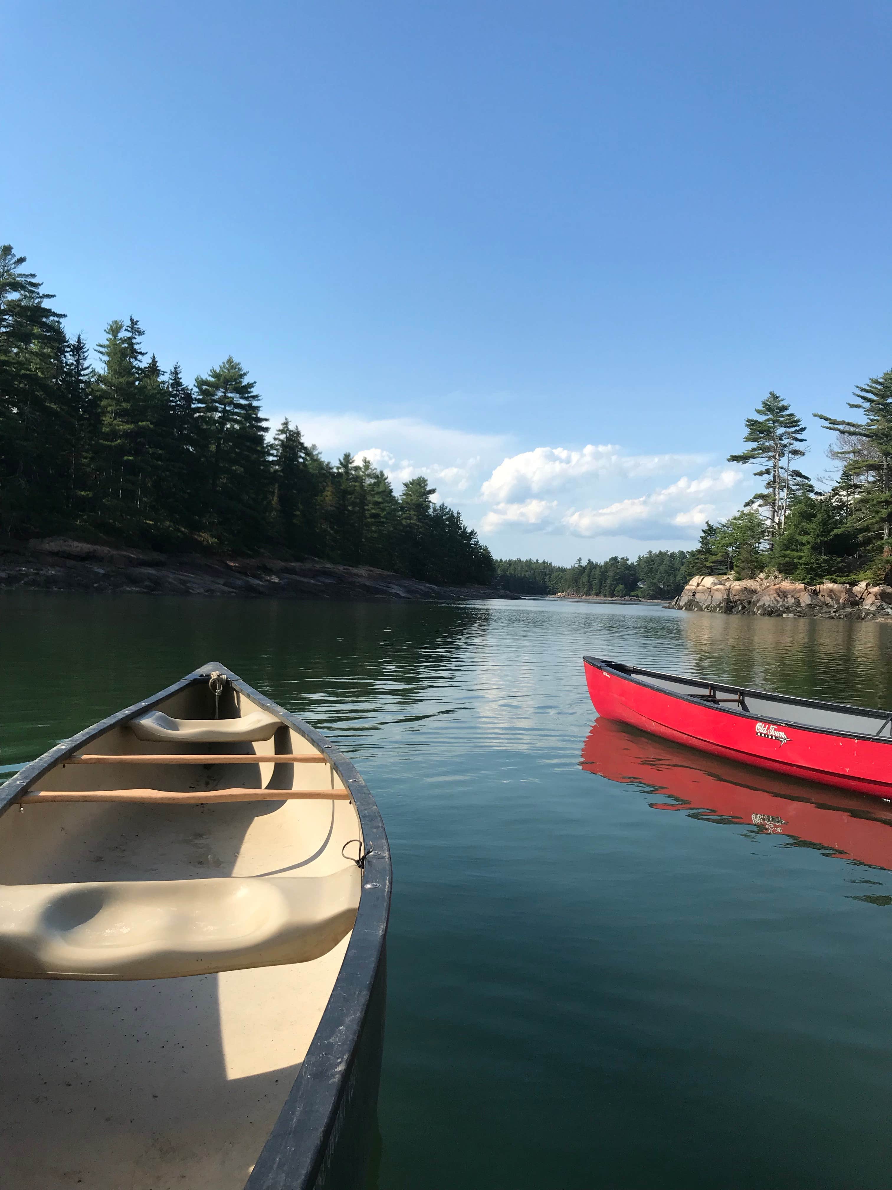 Camper submitted image from Mount Desert Campground - 5