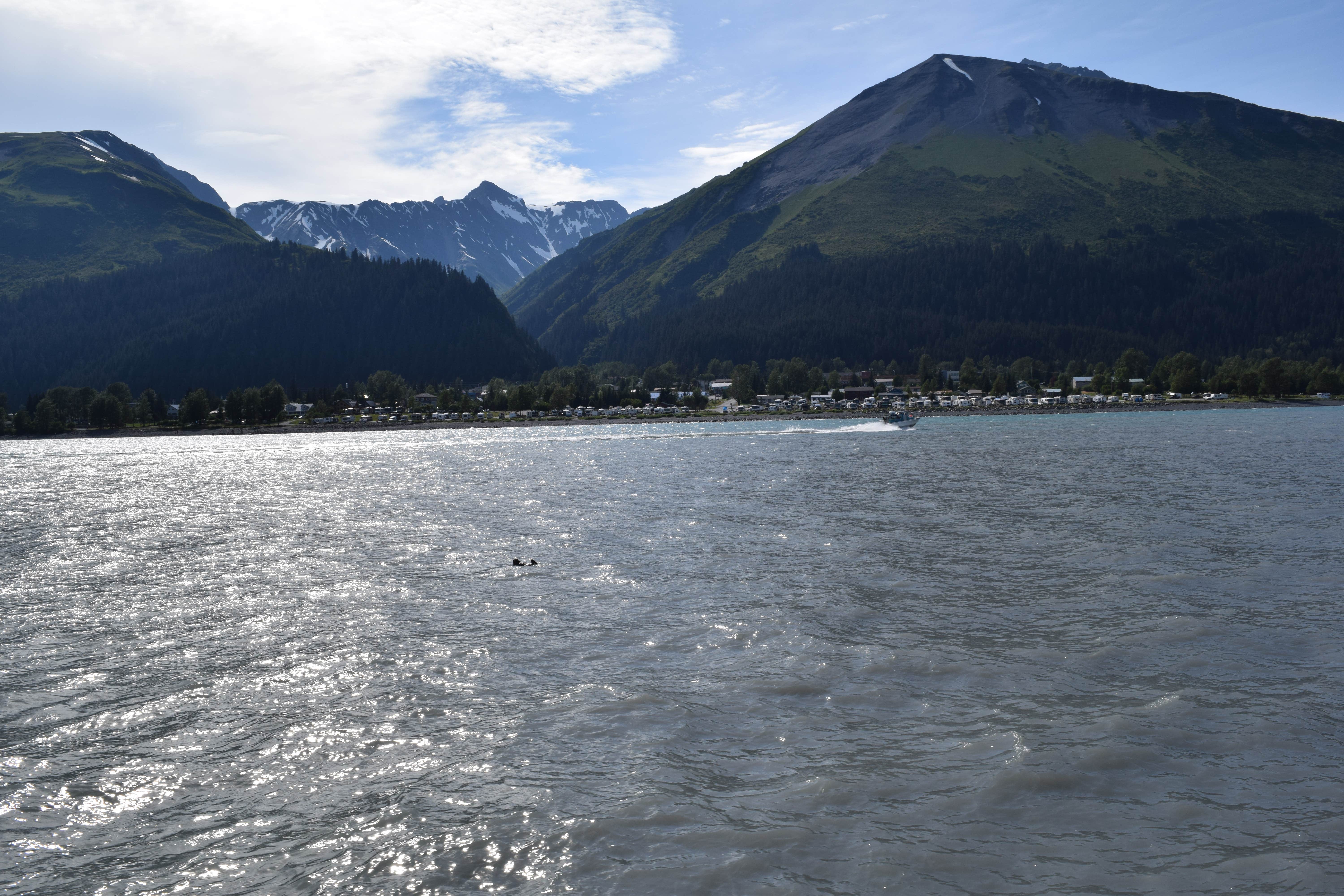 Camper submitted image from Seward City Campgrounds - 3