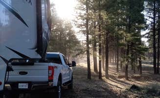 Erin H.'s photo at Forest service Road 688 Dispersed Camping in Arizona