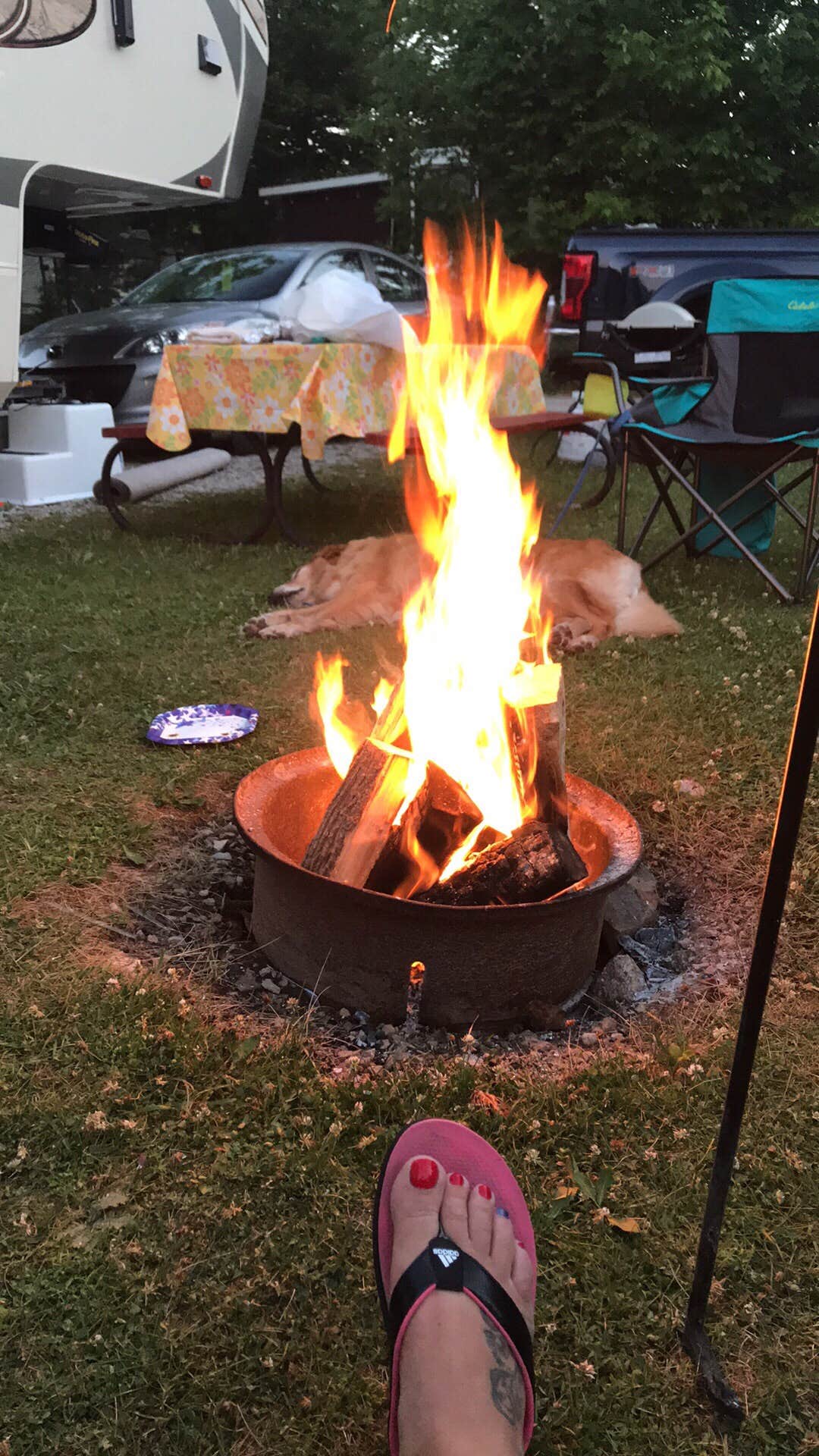 Camper submitted image from Tranquil Timbers - 4