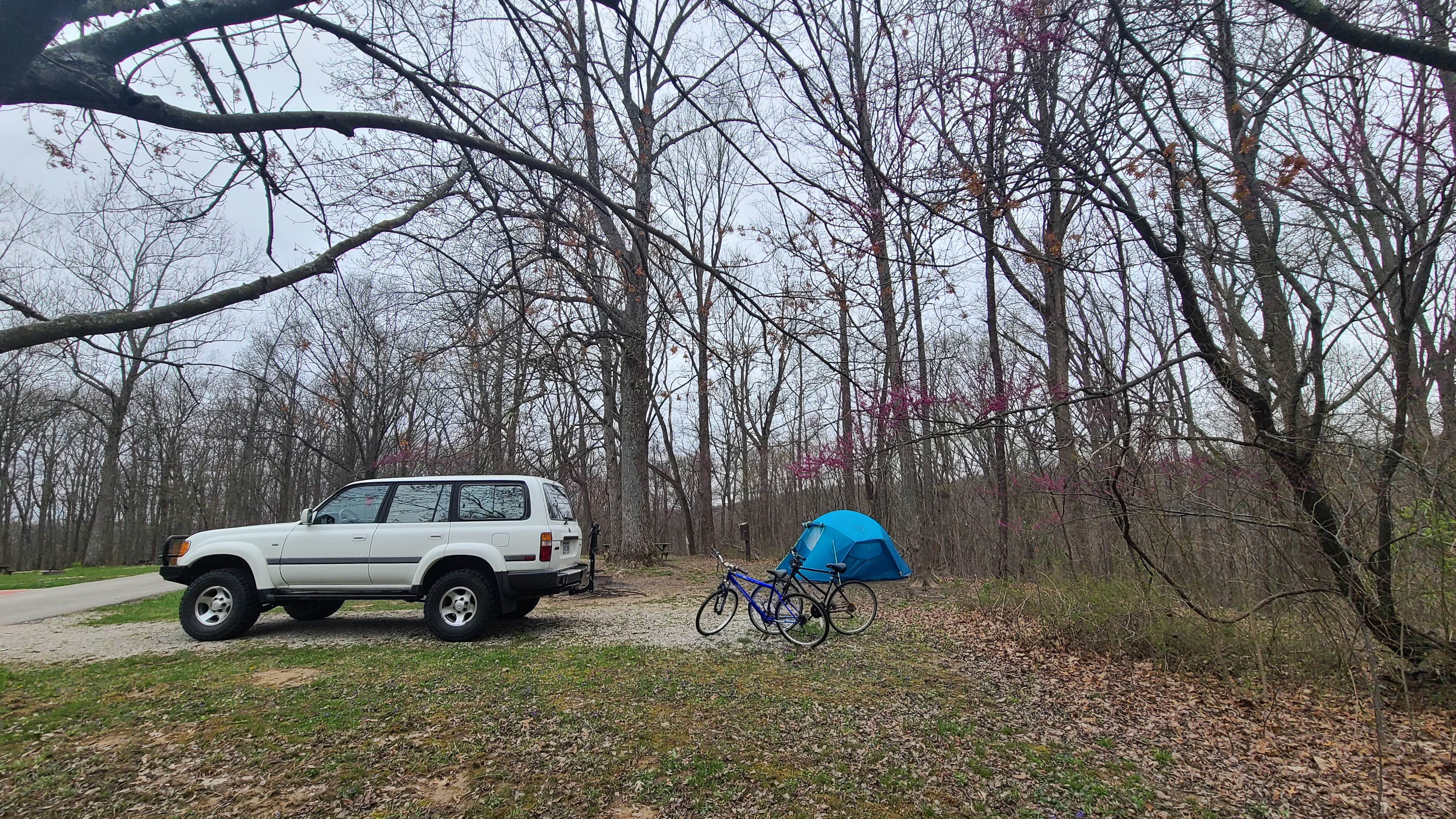 Melissa W.'s photo at Raccoon Ridge Campground — Brown County State Park near Columbus, IN