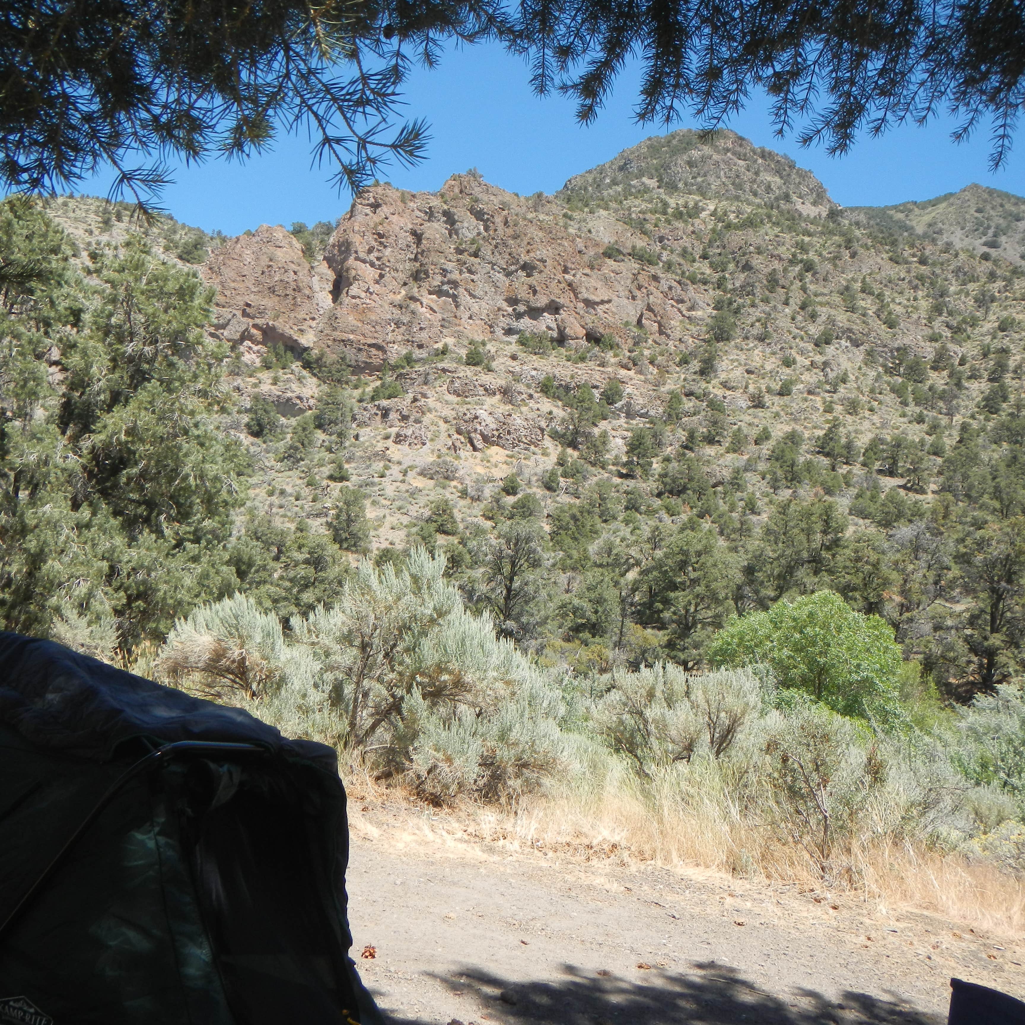 Nevada’s Desert Oasis: Unplug And Unwind At Desert Creek Campground