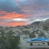 Review photo of White Tank Campground — Joshua Tree National Park by Marie K., April 23, 2022