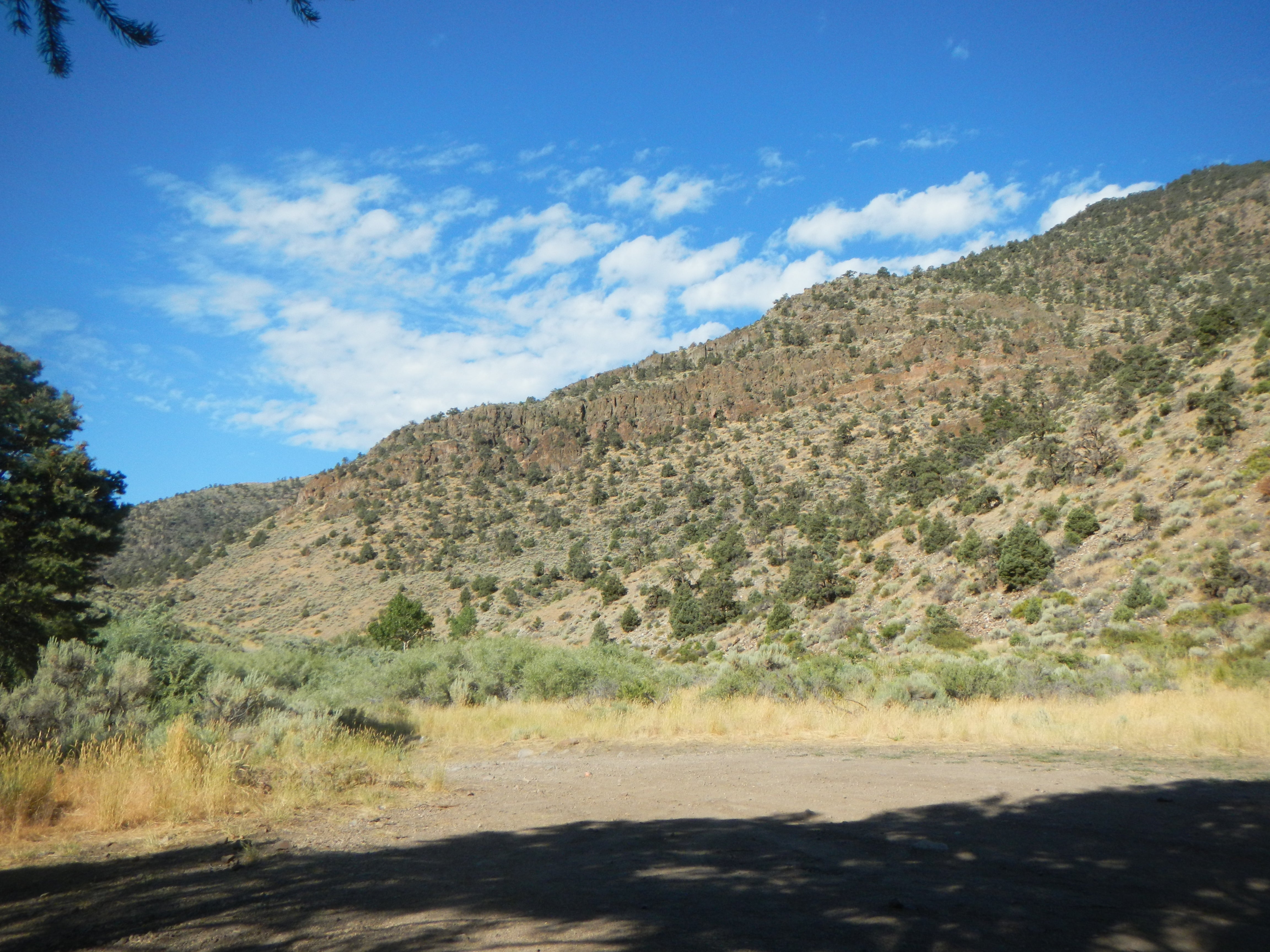 Camper submitted image from Desert Creek Campground - 3