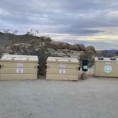 Review photo of White Tank Campground — Joshua Tree National Park by Marie K., April 23, 2022