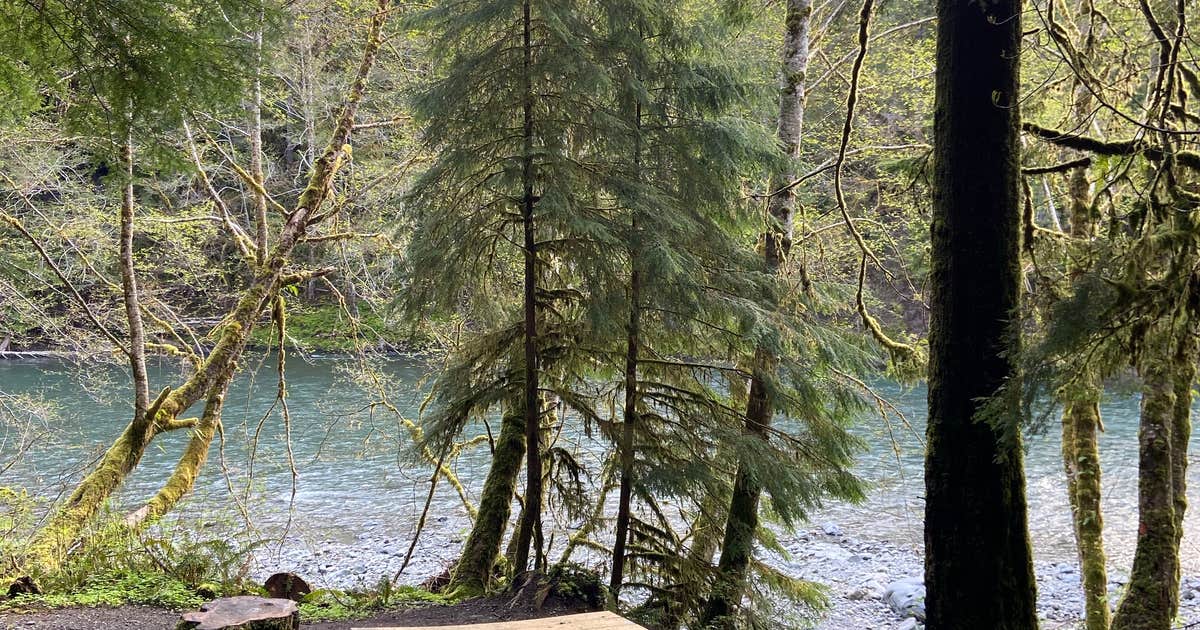 Hoh Oxbow Campground