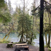 Review photo of Hoh Oxbow Campground by Ruby , April 24, 2022