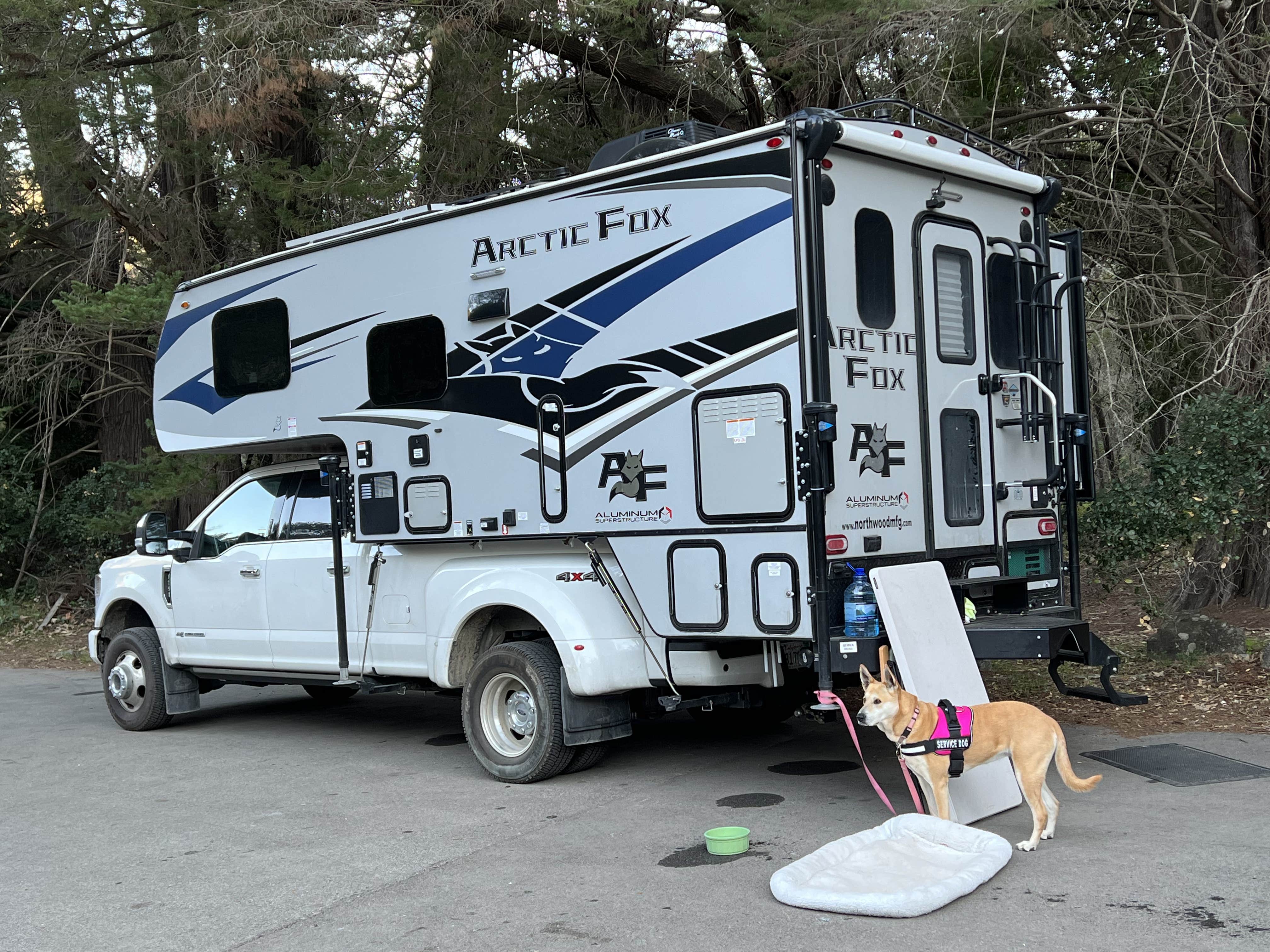 Duncan G.'s photo of camping with pets at Pfeiffer Big Sur State Park Campground near Carmel Valley Village, CA