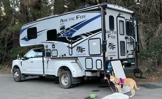 Duncan G.'s photo of camping with pets at Pfeiffer Big Sur State Park Campground near Lucia, CA