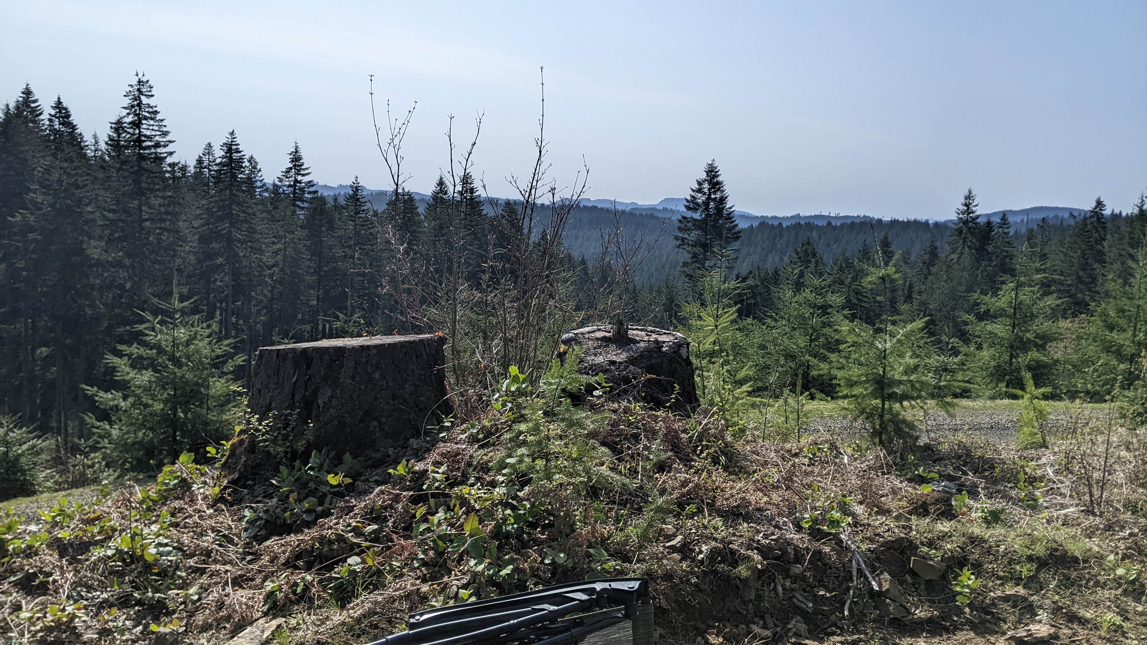 Camper-submitted photo at Tillamook Forest Dispersed - Shots and Pecks near Hillsboro, OR