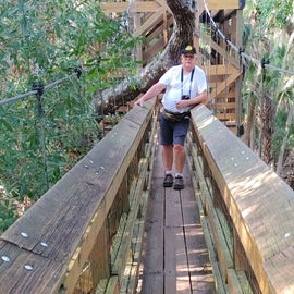 canopy hike swinging bridge with an awesome view at the top