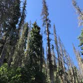 Review photo of Big Meadows Reservoir Campground (south Central Co) by Charles B., July 13, 2018