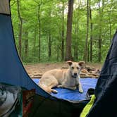 Review photo of Tunica Hills Campground by DENISE G., April 24, 2022