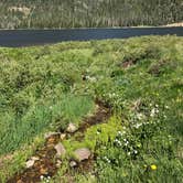 Review photo of Big Meadows Reservoir Campground (south Central Co) by Charles B., July 13, 2018