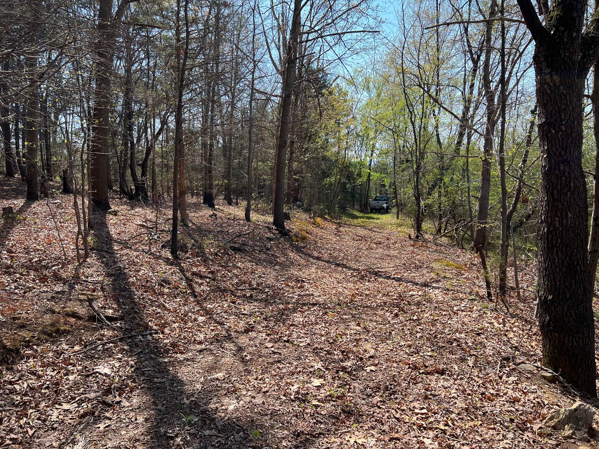 Camper-submitted photo at Kiss the Earth near Crimora, VA