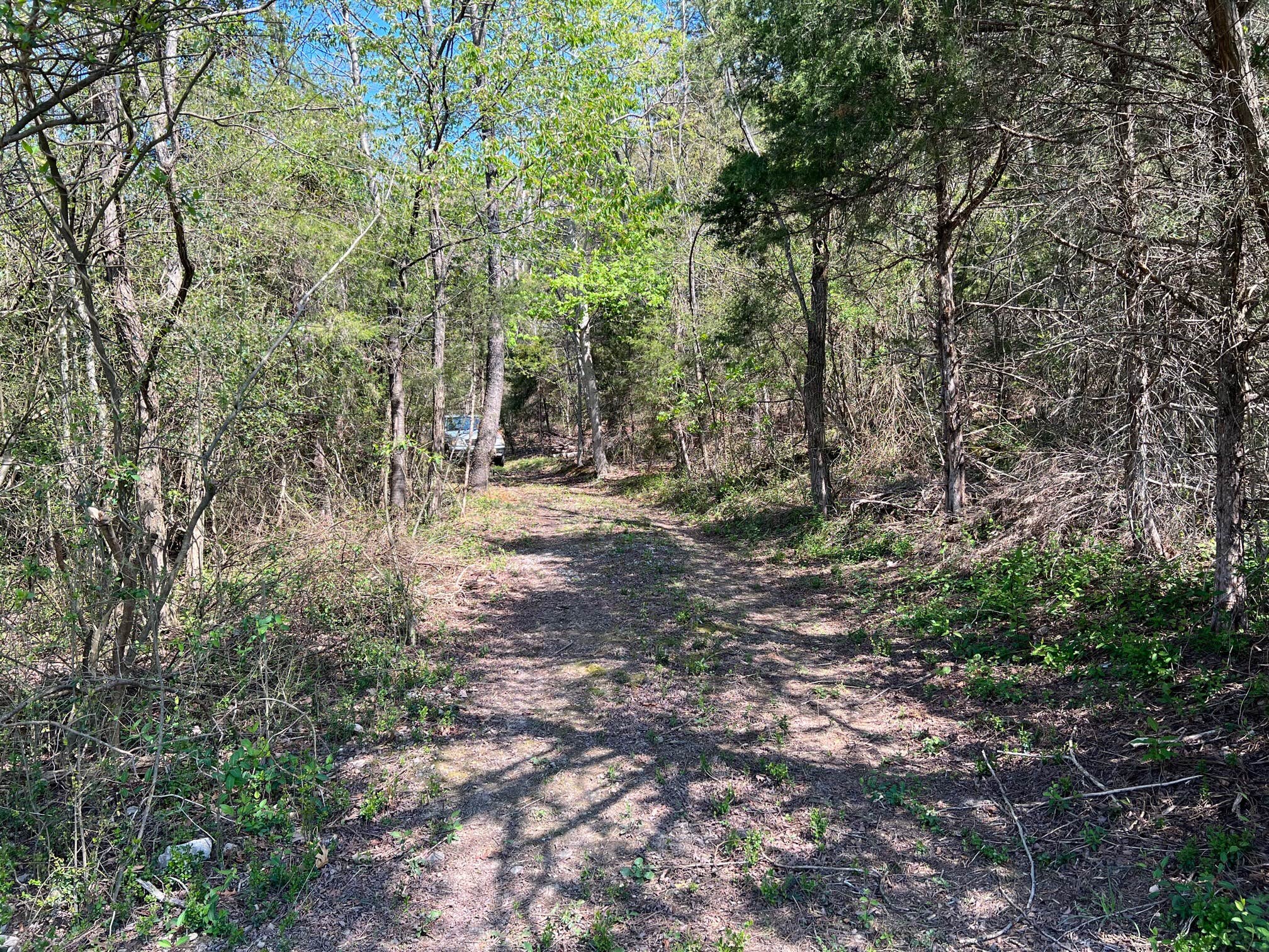 Camper-submitted photo at Kiss the Earth near Crimora, VA