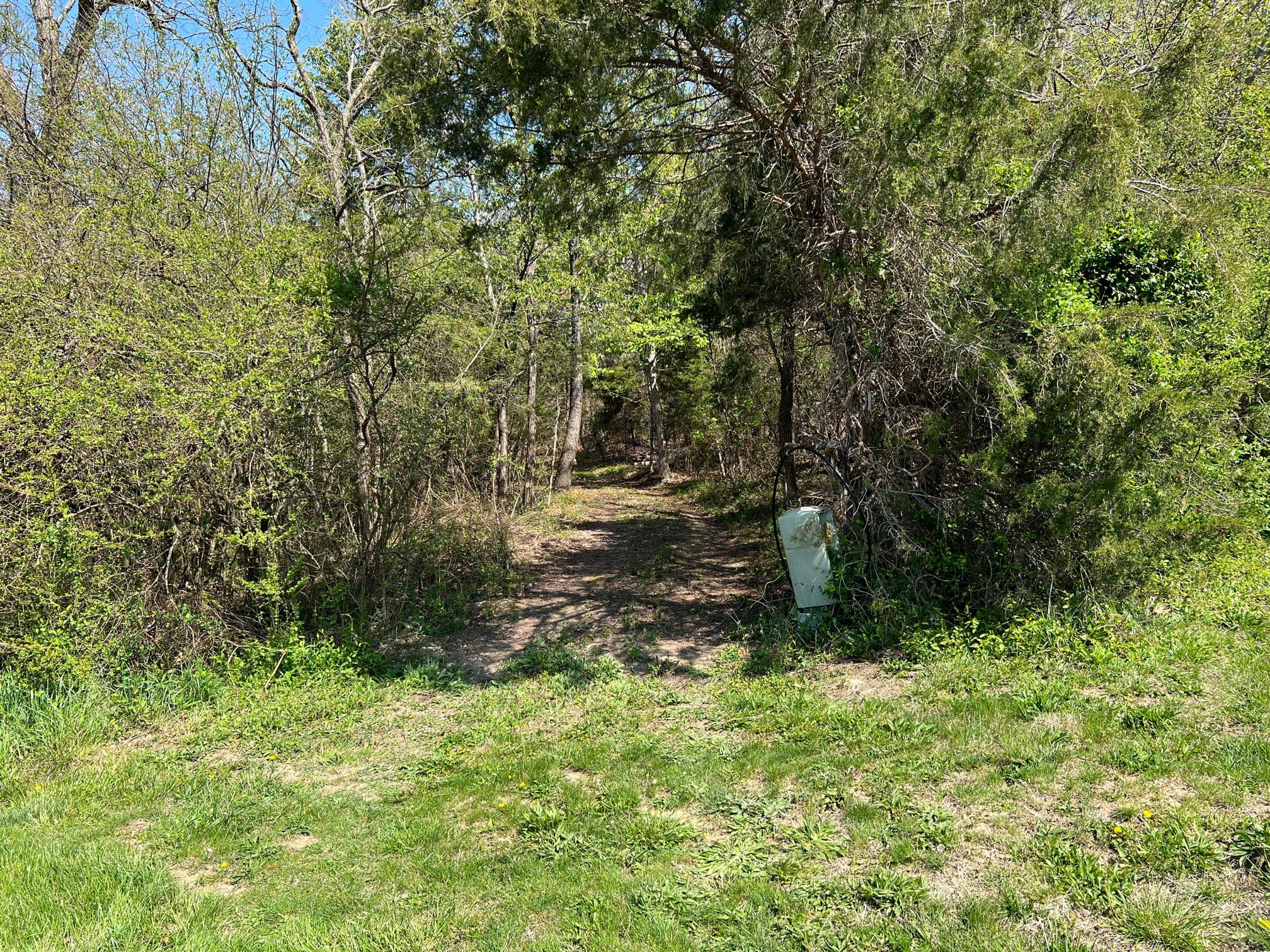 Camper-submitted photo at Kiss the Earth near Crimora, VA