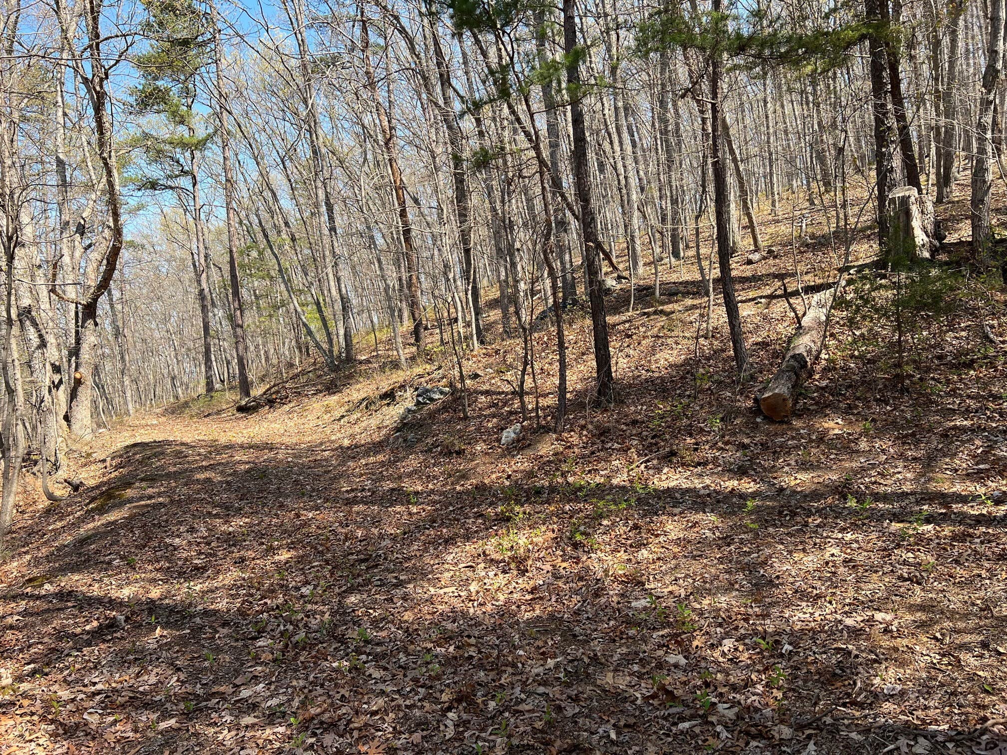 Camper-submitted photo at Kiss the Earth near Crimora, VA