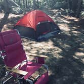 Review photo of Pawtuckaway State Park Campground by Rachel P., July 13, 2018