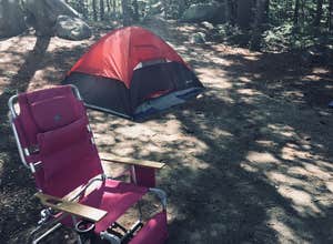 Pawtuckaway State Park Campground