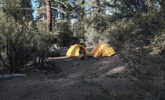 Camping near Serrano: Holcomb Valley Climbers Camp, Big Bear Lake, California