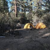 Review photo of Holcomb Valley Climbers Camp by seth B., April 25, 2022