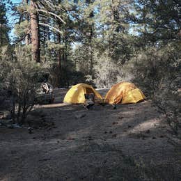 Holcomb Valley Climbers Camp