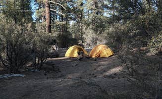 seth B.'s photo of tent camping at Holcomb Valley Climbers Camp near Yermo, CA